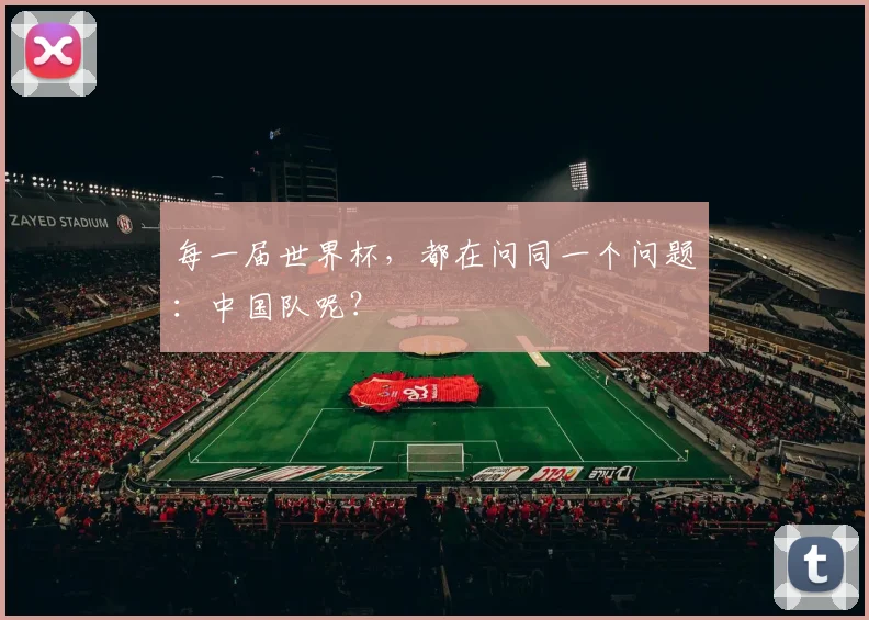 每一届世界杯,都在问同一个问题:中国队呢?